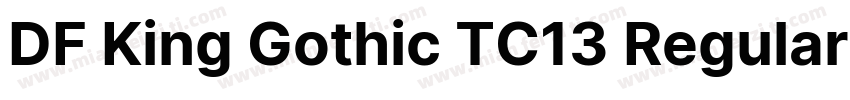 DF King Gothic TC13 Regular字体转换